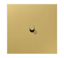 JUNG LS1912 Латунь классик Центральная плата, 1 пост, 1 тумблер, цилиндр; метал. исполнение