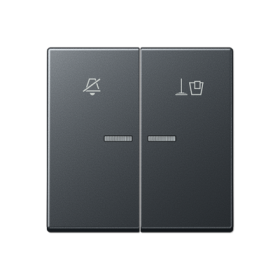 JUNG Клавиша для гостиничных выключателей 505KO5VEUM24 или 505KO5VEUM230, матовый антрацит