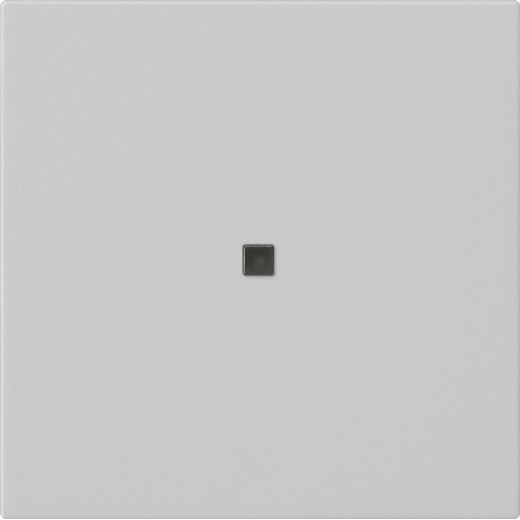 Накладка управления System 3000 BT