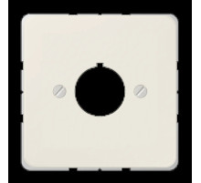 JUNG Крышка для установки специальных гнезд Ø 22,5 мм слоновая кость