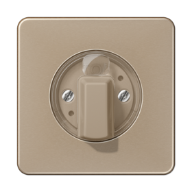 JUNG Накладка поворотного механизма золото-бронза