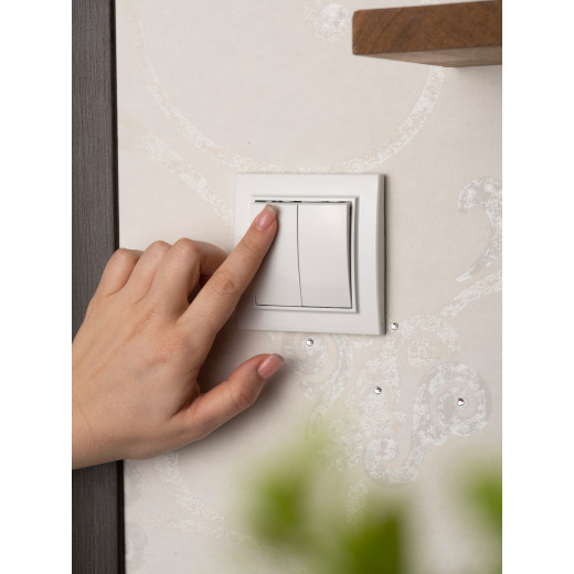 Минск Выключатель 2-клавишный СП,10А, белый EKF Basic