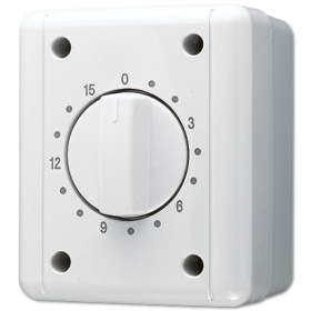 JUNG Выключатель для накладного монтажа с часовым механизмом