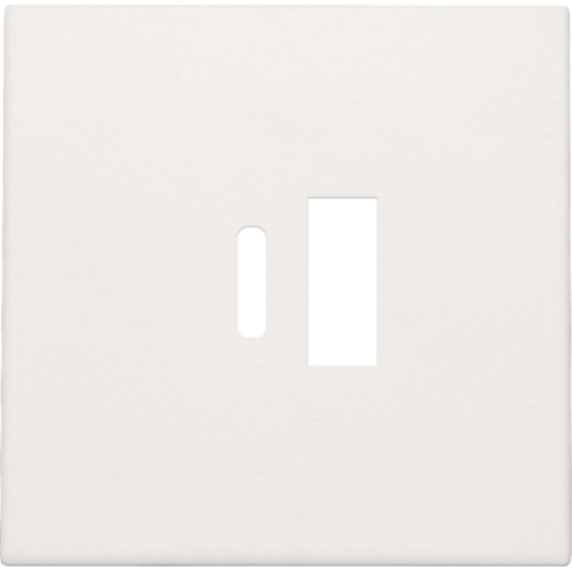 Накладка USB Type-A-C, белый