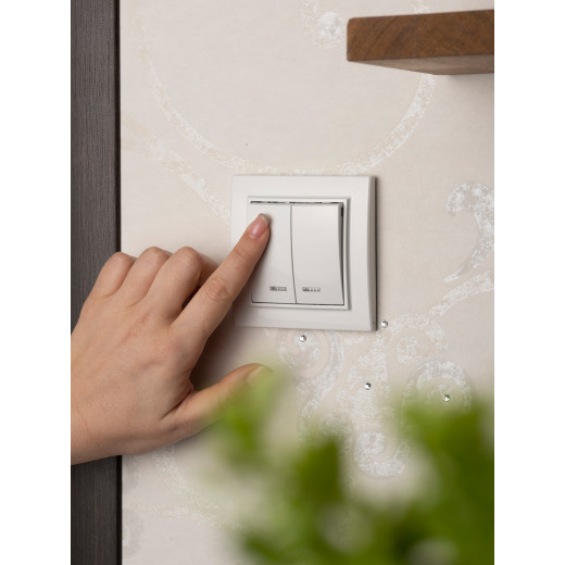 Минск Выключатель 2-клавишный СП с индикатором,10А, белый EKF Basic