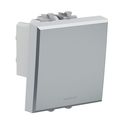 Инвертор одноклавишный модульный, Avanti, закаленная сталь, 2 модуля