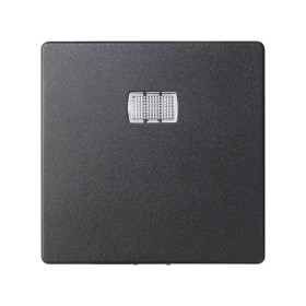 Simon 82 Графит Накладка для вставки с пиктограм., для 1-кл.мех.кноп.выкл.и компл.