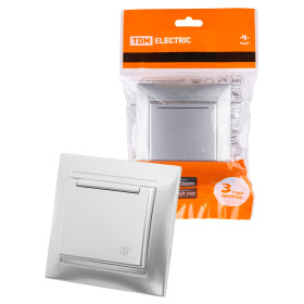 TDM Розетка 2П+З 16А 250В IP44 с крышкой серебр. металлик 