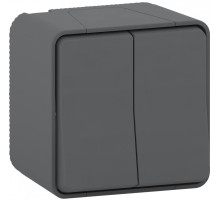 Schneider Electric Mureva Styl наруж Антрацит Переключатель 2-клавишный сх. 6+6, IP55