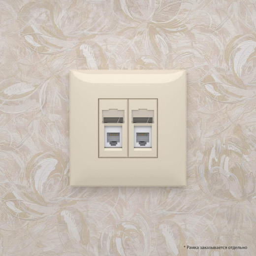 Телефонная розетка RJ-12 в стену двойная, Avanti, ванильная дымка