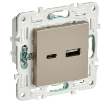 IEK SKANDY Шампань Розетка USB A+C 18Вт SK-R13Sh
