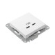 Механизм розетки USB-C - 2шт, белый Эпика EKF