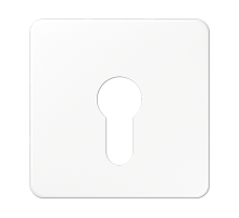 JUNG центральная плата для вставки с ключом, белый