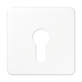 JUNG центральная плата для вставки с ключом, белый