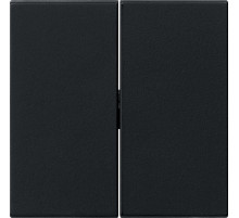 Gira S-55 Черная матовая Клавиша 2-ная