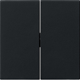 Gira S-55 Черная матовая Клавиша 2-ная