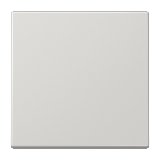 Одинарная клавиша для балансирных механизмов выключателей (кнопок), в комплекте с CD90HP (крепежный элемент), возможно IP44, дюропласт, светло-серый, LS990