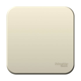 Systeme Electric Blanca наруж Молочный Выключатель 1-клавишный 6А, 250В, изолир. пластина