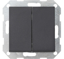 Gira System 55 Выключатель  кнопочн. 2-х клав. самовозврат.\ Переключатель 2-местн.