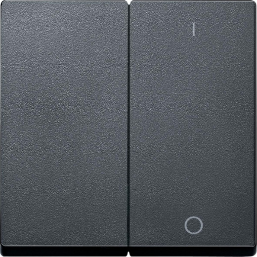 MERTEN КЛАВИША двойная с пиктограммами 