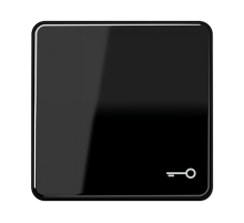 JUNG CD 500/CD plus Черная Клавиша 1-ая с символом КЛЮЧ