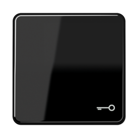 JUNG CD 500/CD plus Черная Клавиша 1-ая с символом КЛЮЧ