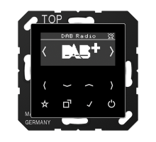 JUNG Цифровое радио DAB+