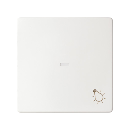 Concept Белый матовый Клавиша для выключателя с подсветкой и пиктограммой 