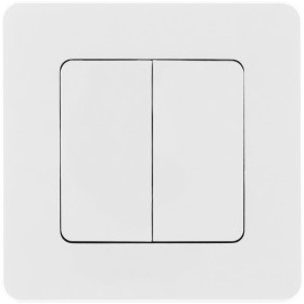 Legrand/Daccord INSPIRIA Белый Выключатель двухклавишный 10 AX - 250 В.