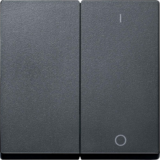 MERTEN КЛАВИША двойная с пиктограммами 