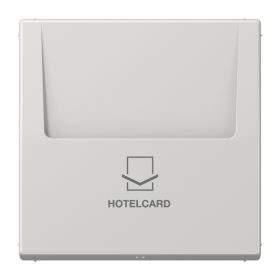 JUNG Накладка-картодержатель для балансирных механизмов 531U, 532U, 533U, 534U термопласт светло-серый LS990