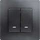 Выключатель двухклавишный с подсветкой/индикацией - Legrand Etika - 10А 250В безвинтовые зажимы - антрацит