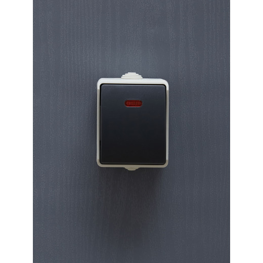 FORS Выкл. 1-кл. прох. с инд. о/у IP54 ВС20-1-1-ФСр сер. IEK