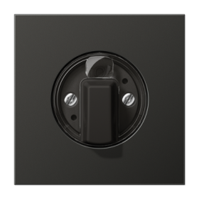 JUNG Антрацит Накладка поворотного механизма