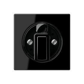 JUNG A 500 Черная Накладка поворотного механизма