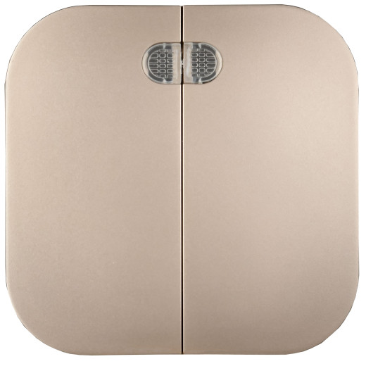 GLORY Выключ. 2-кл. с инд. о/у 10А ВС20-2-1-ХШм шамп. м. IEK