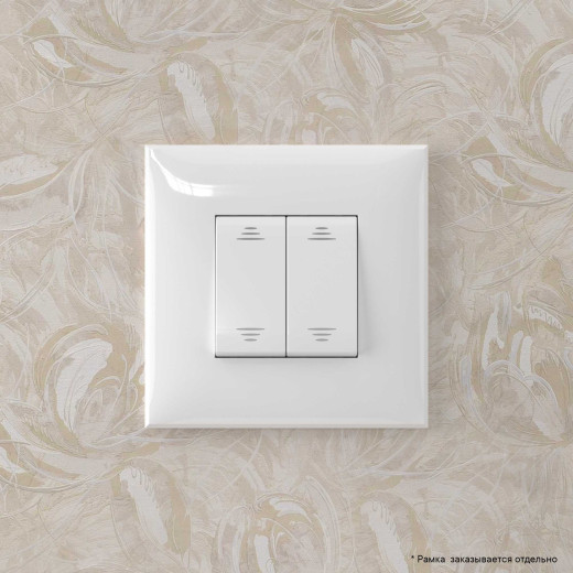 Инвертор двухклавишный в стену, Avanti, белое облако