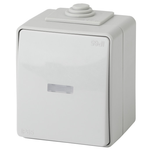 Выключатель ЭРА Эксперт 11-1602-03 с подсветкой IP65 10АХ-250В ОУ серый