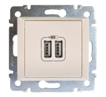Legrand DIY Valena Слоновая кость Розетка 2-ая USB.