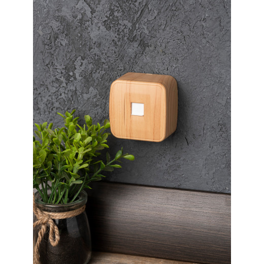 Розетка RJ-45 1-местная ОП Минск, 1А, 120В, светлое дерево EKF