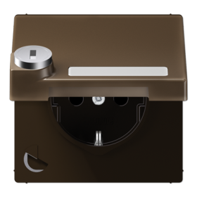 JUNG SCHUKO розетка с крышкой и замком, латунь Antik