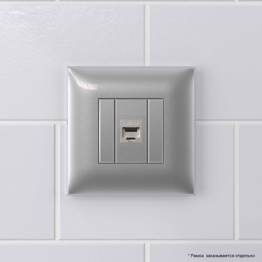 Компьютерная розетка RJ-45 без шторки в стену, кат.6А одинарная экранированная, Avanti, закаленная сталь