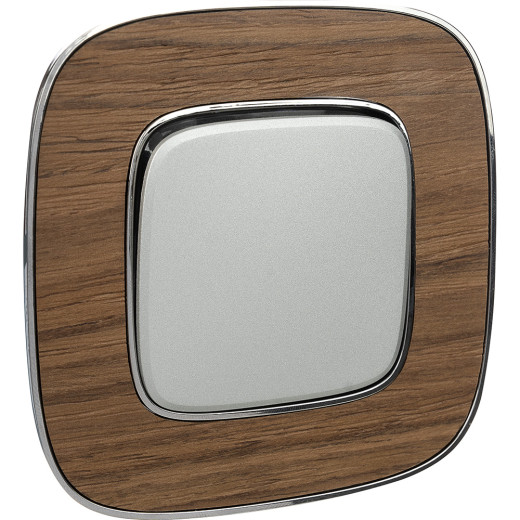 Valena ALLURE.Выключатель 10АХ 250В с лицевой панелью.Безвинтовые зажимы.Алюминий