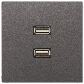JUNG Накладка / вставка для розетки 2 x USB