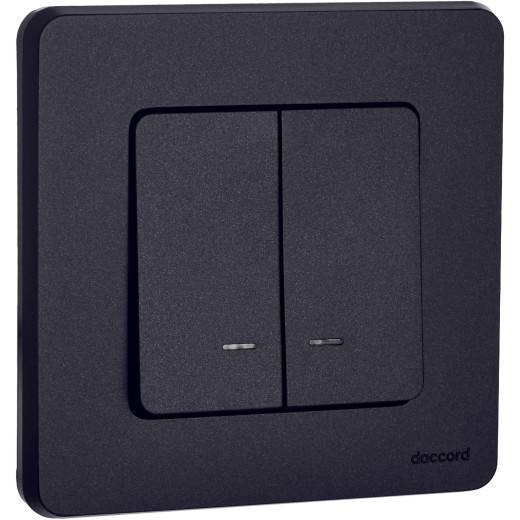 Выключатель двухклавишный с подсветкой/индикацией - Legrand/Daccord Inspiria - 10АХ 250В безвинтовые зажимы - антрацит