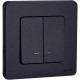 Выключатель двухклавишный с подсветкой/индикацией - Legrand/Daccord Inspiria - 10АХ 250В безвинтовые зажимы - антрацит