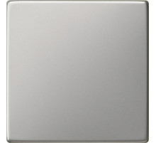 Gira S-55, Сталь, Клавиша одинарная