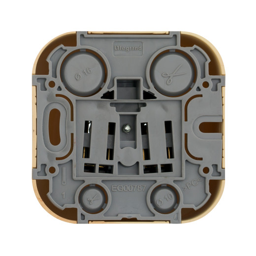 Розетка без заземления - Legrand Quteo - без шторок IP20 16А 250В винтовые зажимы накладной монтаж - дерево