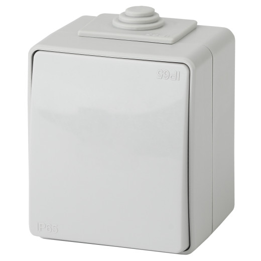 Выключатель ЭРА Эксперт 11-1601-03 IP65 10АХ-250В ОУ серый