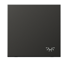 JUNG Клавиша с символом 